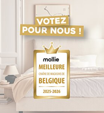 Le Roi Du Matelas.png